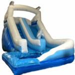 Mega Dolphin Water Slide