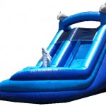 Mega Blue Dolphin Water Slide 3