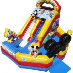 Mickey Park Junior Slide with Pool