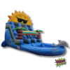 Dolphin Double Water Slide Rental