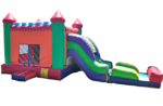4&1 Castle Slide Combo Rental